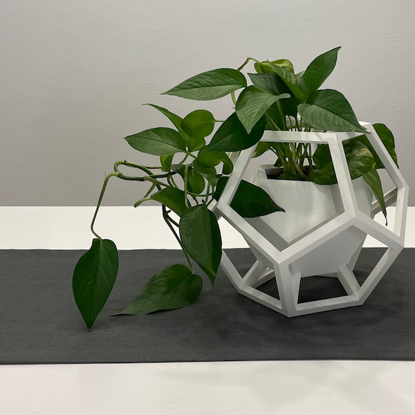 Arlington: Dodecahedron shaped geometric planter/centerpiece. Unique, modern pot for succulents, cactus, bonsai, and other house plants.