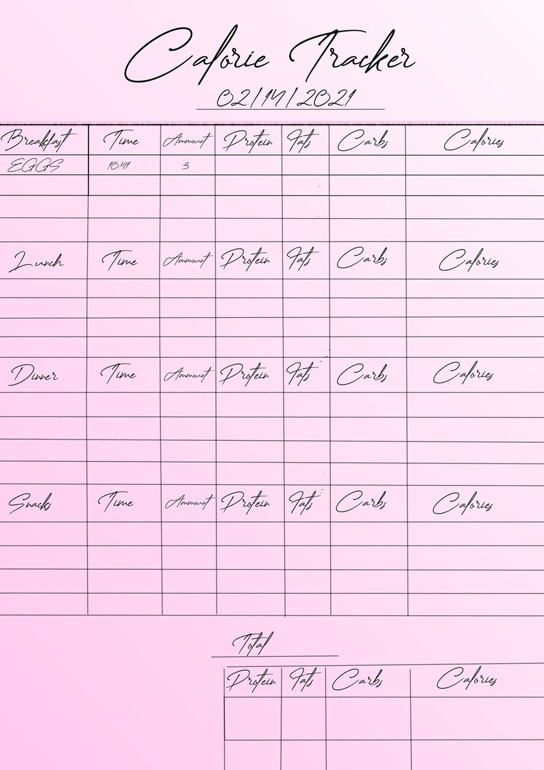 Daily Calorie Counter / Tracker Printable Empty Template - Etsy