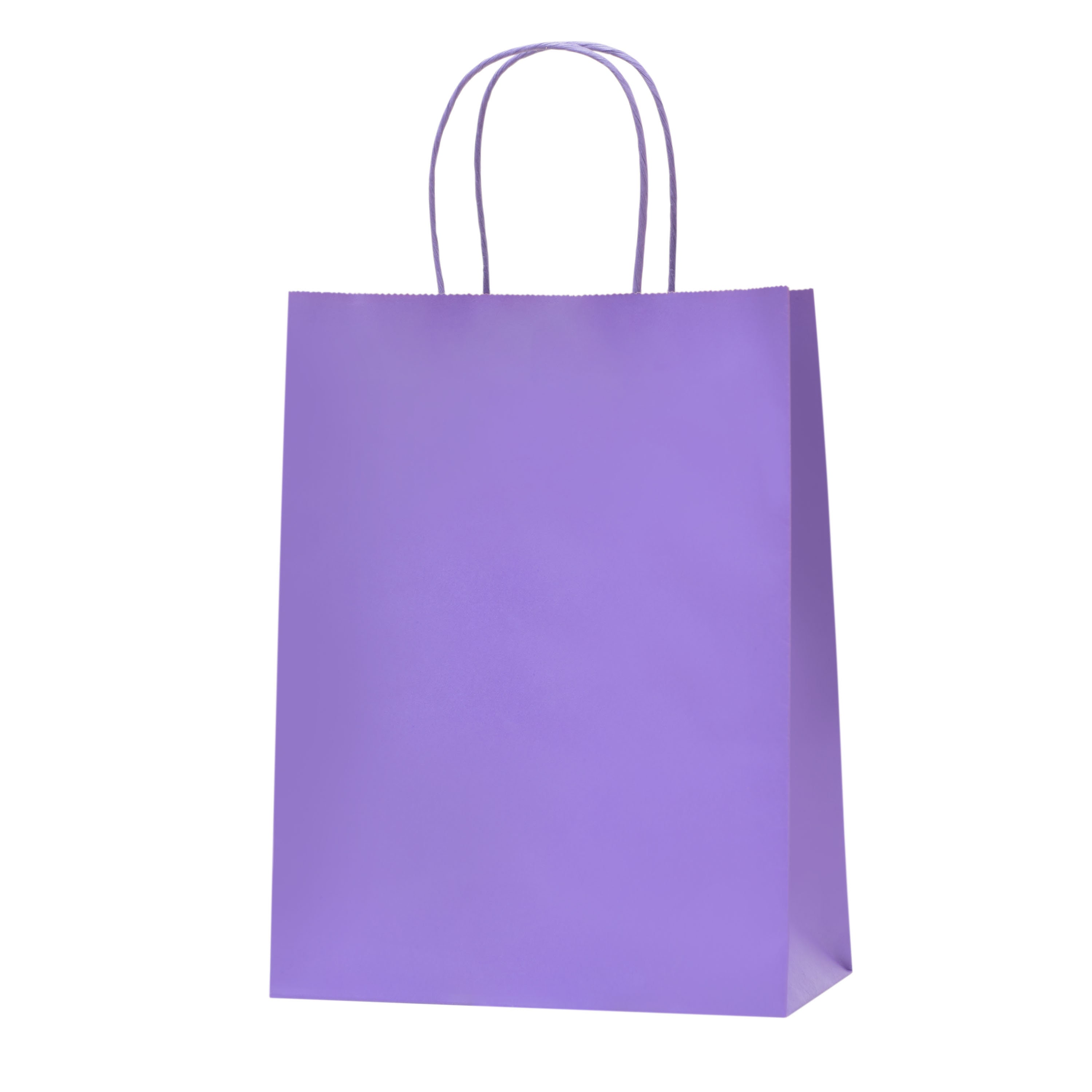 Purple Gift Bags Bulk Pack Medium Gift Bags With Handle. Great for