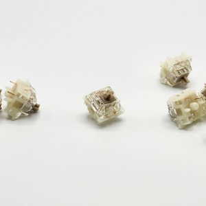 Gateron Baby Raccoon Linear Switch (Stock or Hand-lubed and Filmed)