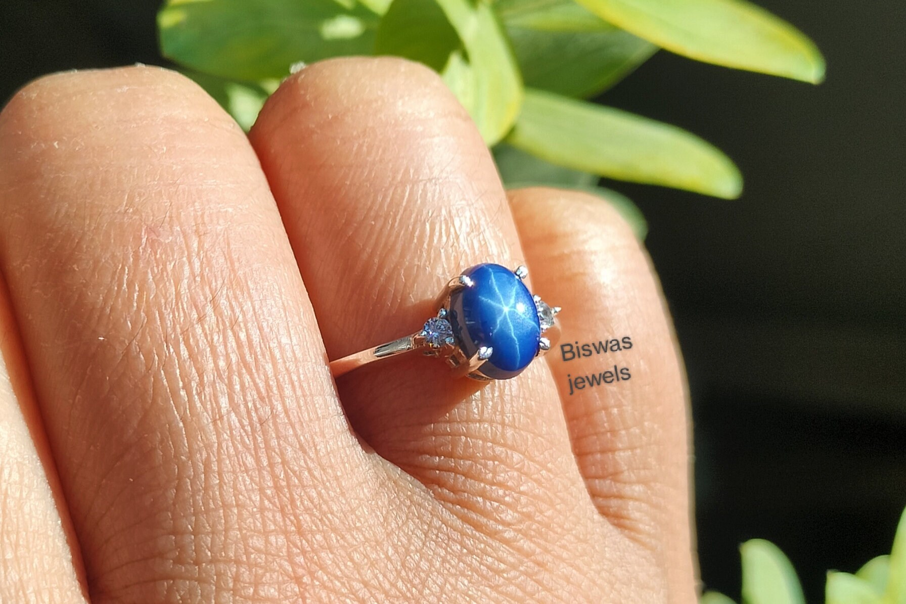 Blue Lindy Star Ringscraigslist Houston Pets For Sale