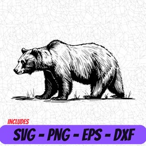 May include: A monochrome illustration of a grizzly bear walking. The bear is depicted with detailed shading, showing fur texture. The image includes the text "INCLUDES SVG - PNG - EPS - DXF" in a purple banner.