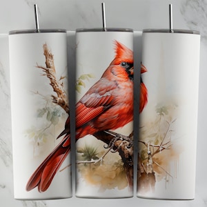 Cardinal Bird 20 Unzen Becher Design, Skinny Becher Sublimation Design, roter Vogel PNG Wrap für Tassen