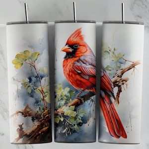 Cardinal Bird 20 Unzen Becher Design, Skinny Tumbler Sublimationsdesign, Red Bird PNG Wrap für Tassen