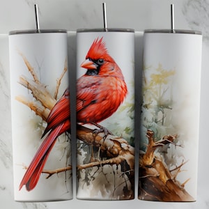 Cardinal Bird 20 Unzen Becher Design, Skinny Tumbler Sublimationsdesign, Red Bird PNG Wrap für Tassen