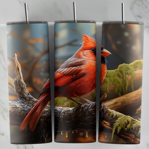 Cardinal Bird 20 Unzen Becher Design, Skinny Becher Sublimation Design, roter Vogel PNG Wrap für Tassen