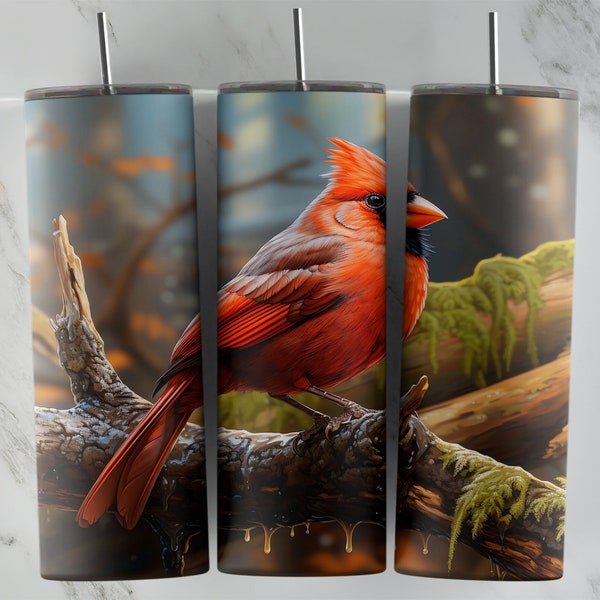 Cardinal Bird 20oz Tumbler Design, Skinny Tumbler Sublimation Design, Red Bird PNG Wrap for cups