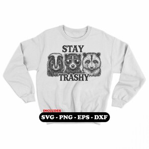 Stay Trashy Raccoon SVG | PNG Funny Animal Clipart for Cricut