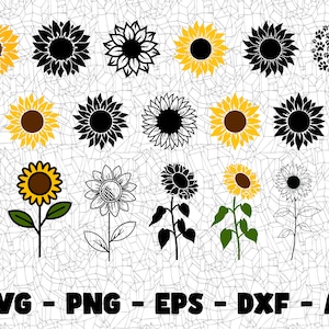 Tournesol SVG, fichier de coupe, Png Eps Ai clipart numérique, idéal pour les autocollants vinyle, autocollants, T-shirts, tasses et plus ! Création de fichiers SVG numériques