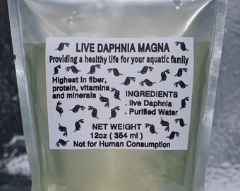 125+ Live Daphnia Magna Freshwater Fleas Tank Raise Cultures live Fish food