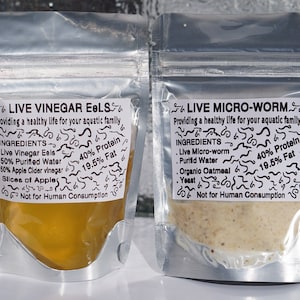 BUY 2 GET 1 FREE  Micro worm Vinegar eel Culture Start Bundle, Huge Live Culture Live fish food