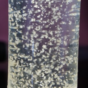 BUY 2 GET 1 FREE 125 Live Daphnia Magna Freshwater Fleas Tank Raise Cultures live Fish food image 5