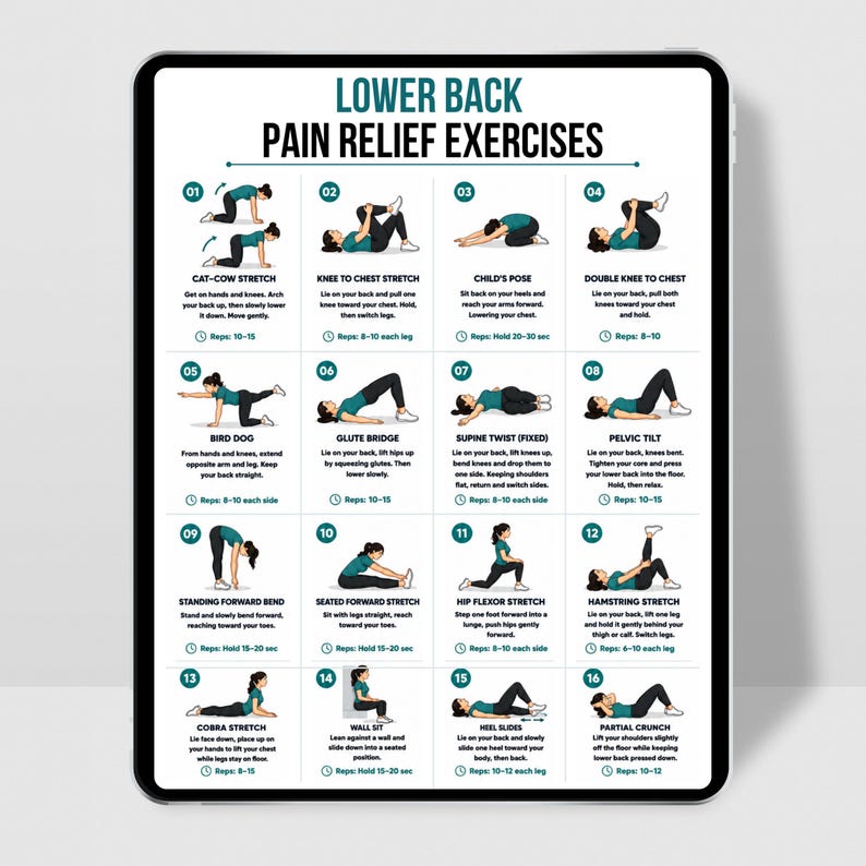 Printable Lower Back Pain Relief Exercise Chart, Stretch & Mobility ...