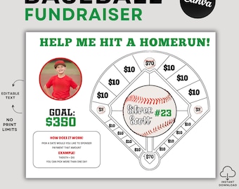 Baseball Fundraiser, Fill My Field, Baseball Fundraiser Flyer, Baseball Fundraiser Template, Baseball Sponsorship, Canva Template