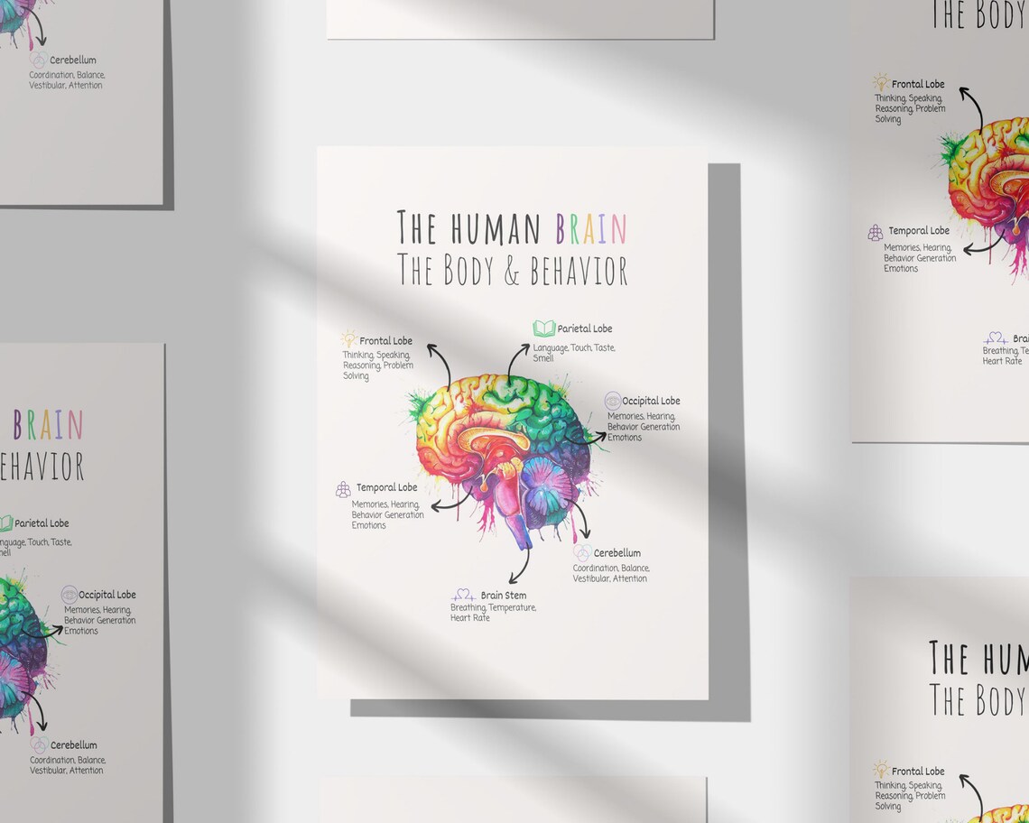 Brain Anatomy Poster Human Brain Poster Brain Psychology - Etsy
