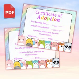 Squishmallow-adoptiecertificaat, Adopteer een Squish, Afdrukbaar adoptiecertificaat, Squishmallows-verjaardagen, Adopteer Squishmallow-certificaat