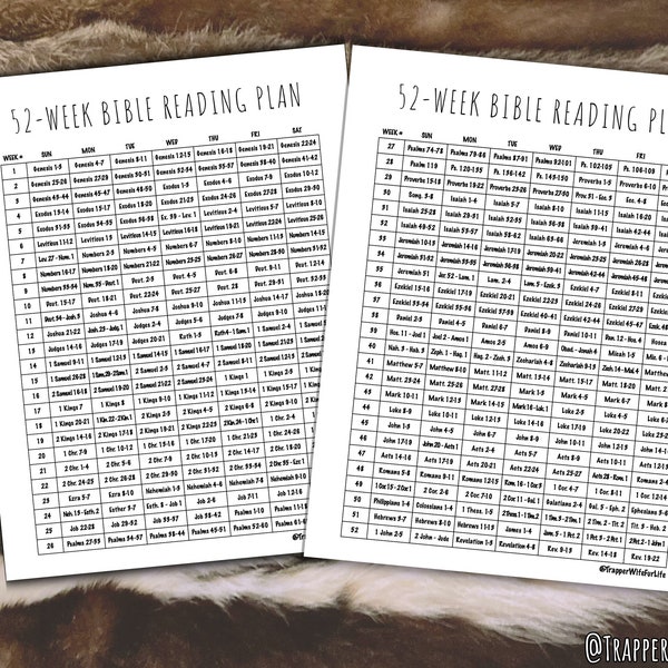 52 Week Bible Reading Plan Schedule Annual One Year Guide Printable Chart Clean Minimal Simple Planner Insert PDF Instant Digital Download