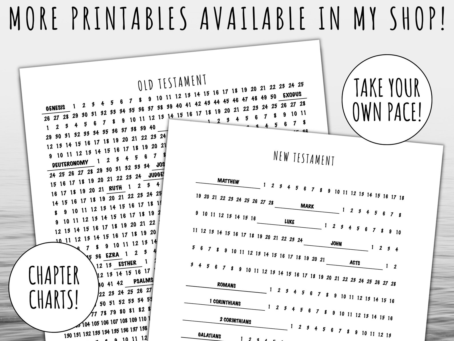 52 Week Bible Reading Plan Schedule Annual One Year Guide Printable ...