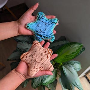Può includere: Due oggetti a forma di stella marina con facce sorridenti. Uno è azzurro con accenti blu scuro e verdi, l'altro è color pesca con accenti marroni. Entrambi hanno una superficie strutturata.