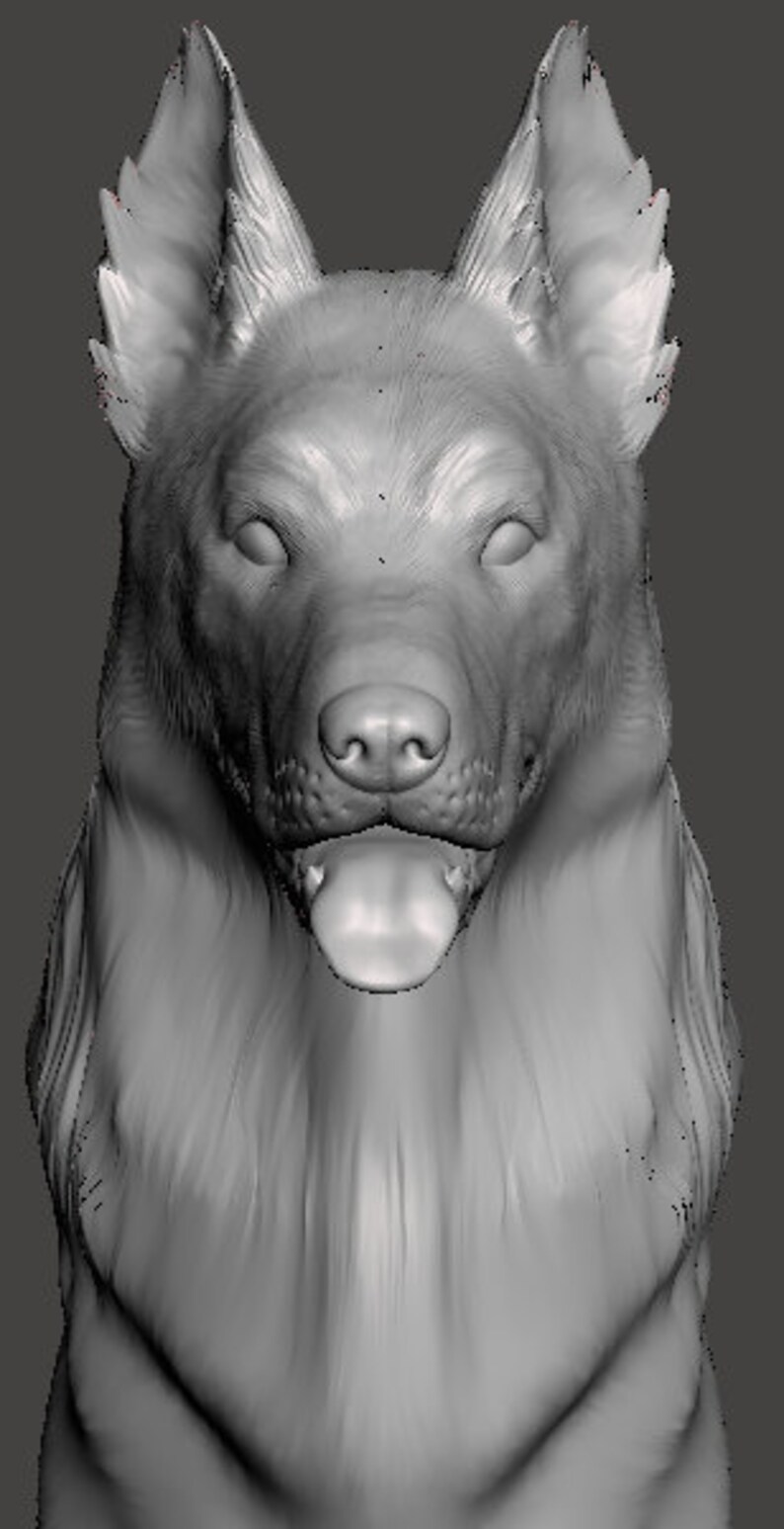 Beauceron 3D Printed Model Unpainted Etsy