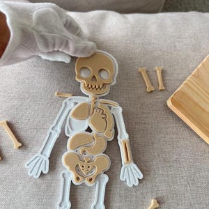 May include: A white plastic skeleton puzzle frame featuring a skull, rib cage, and pelvic area, with tan-colored internal organ and bone-shaped inserts. The set includes several loose tan bone pieces scattered around the main skeleton frame.