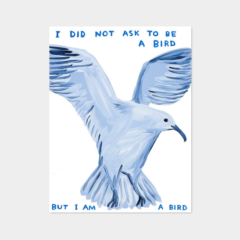 I Did Not Ask To Be a Bird image 1