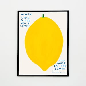 Als het leven je een citroen geeft afbeelding 2