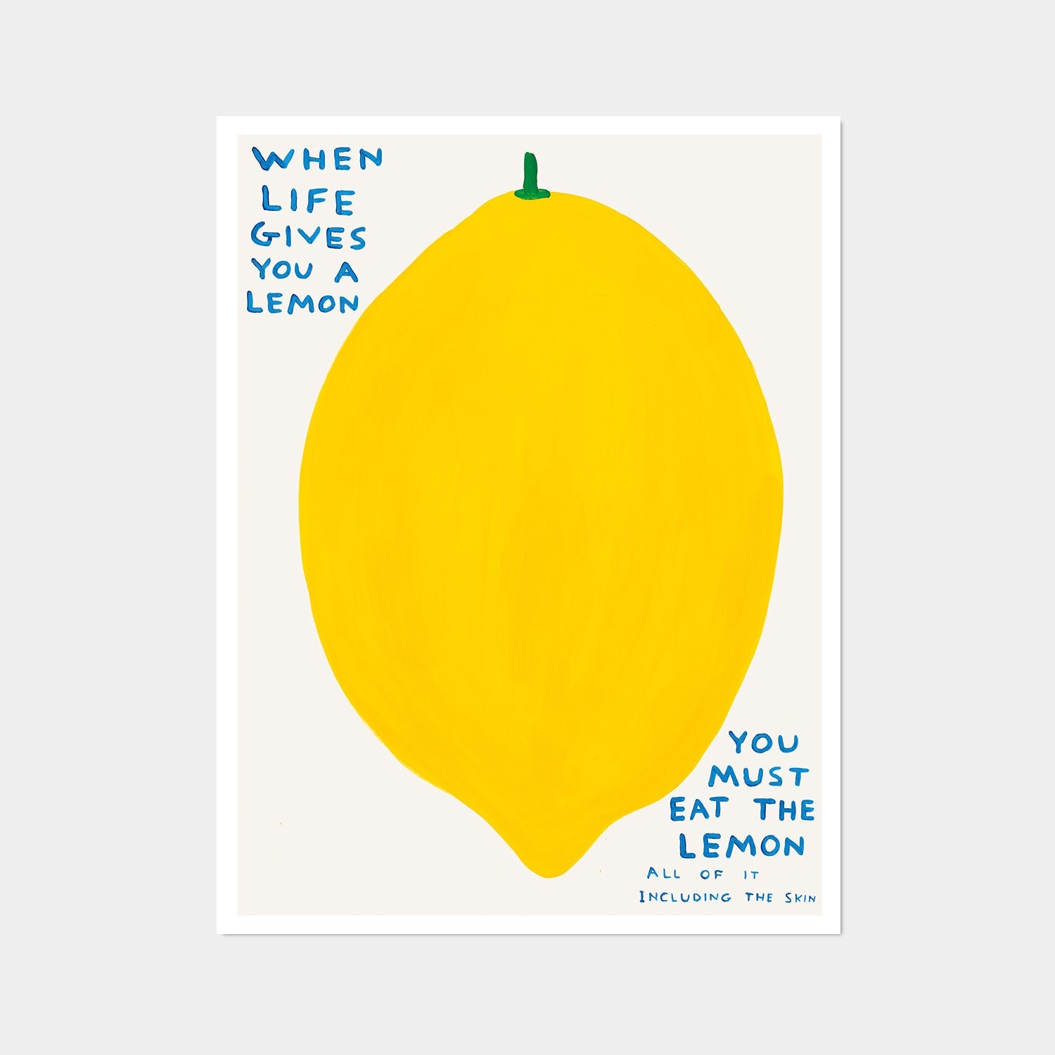 Genuine Shrigley When Life Gives You A Lemon -