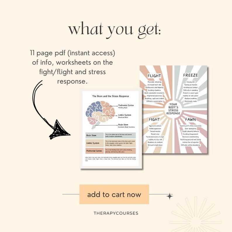 Fight, Flight, Freeze, Fawn & the Stress Response - How the Brain ...