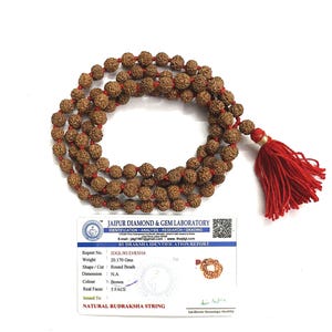 Puede incluir: Un collar de Rudraksha natural con cuentas redondas marrones y una borla roja. El collar está acompañado de un informe del Jaipur Diamond & Gem Laboratory. Las cuentas pesan 20,170 gramos.