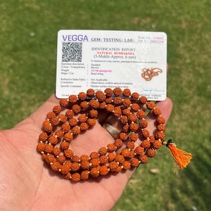 May include: A necklace of brown Rudraksha beads, each approximately 6 mm, presented with an identification report. The beads are strung together, and a tassel is attached. The report provides details on the beads' colour, weight, and shape.