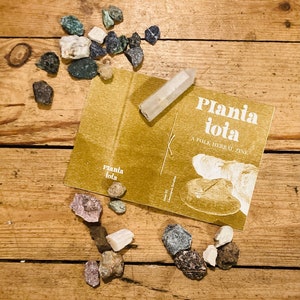 Issue Three / Birch Polypore : Planta Tota folk herbal zine