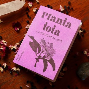 Issue Two / Elder : Planta Tota folk herbal zine