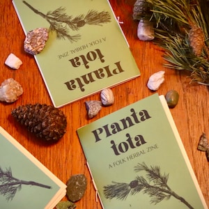 Issue Four / Pine : Planta Tota folk herbal zine