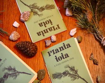 Issue Four / Pine : Planta Tota folk herbal zine