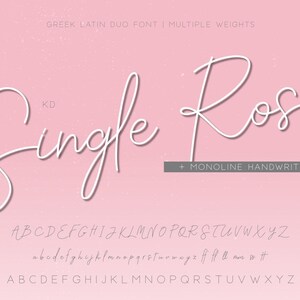 May include: A digital graphic design with the words "Single Rose" in a white, elegant script font, set against a soft pink background. The design includes a full alphabet in both uppercase and lowercase, and the text "Greek Latin Duo Font | Multiple Weights".