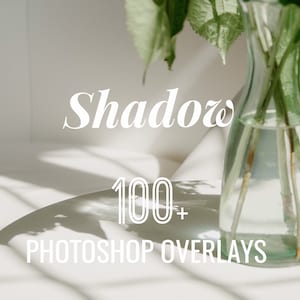 Shadow Photoshop Overlays, Photo Overlays Package, Window PS Background Portrait Photoshop PNG JPG Texture Bundle Creative Photography