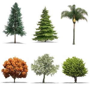 Superpositions Photoshop arbre, paquet de superpositions de photos, feuilles plante branches nature extérieur, effet de fond de texture réaliste PNG JPG image 3