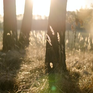 Photoshop Overlays, Lens Flare Photo Overlays Package, Sunlight Sunray Texture Background Filter Photos Effect PNG JPG Bundle Layer Editing image 8