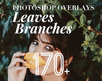 Photoshop Overlays, Leaves Branches Photo Overlays Package, Tree Plants Nature Grass Texture Background Effect PNG JPG Bundle Photo Editing