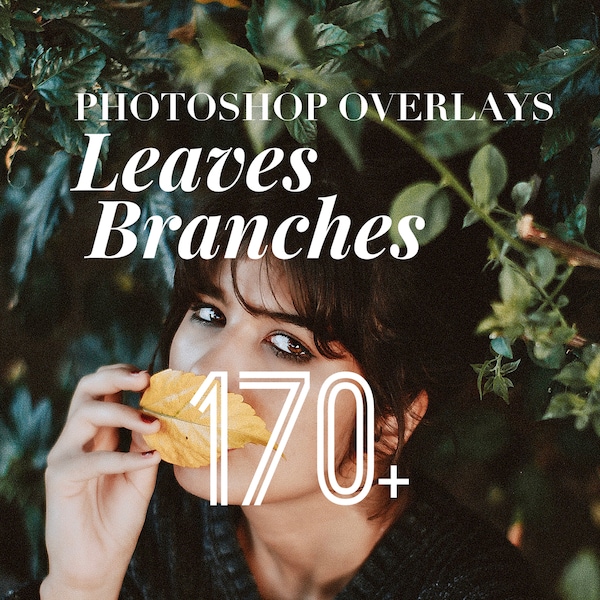 Photoshop Overlays, Leaves Branches Photo Overlays Package, Tree Plants Nature Grass Texture Background Effect PNG JPG Bundle Photo Editing