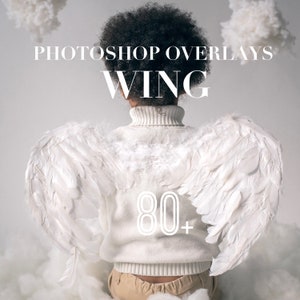 Wing Photoshop Overlays, Photo Overlays Package, Angle Fairy Butterfly Background Effect PNG JPG Feather Texture Bundle Creative Photoshop