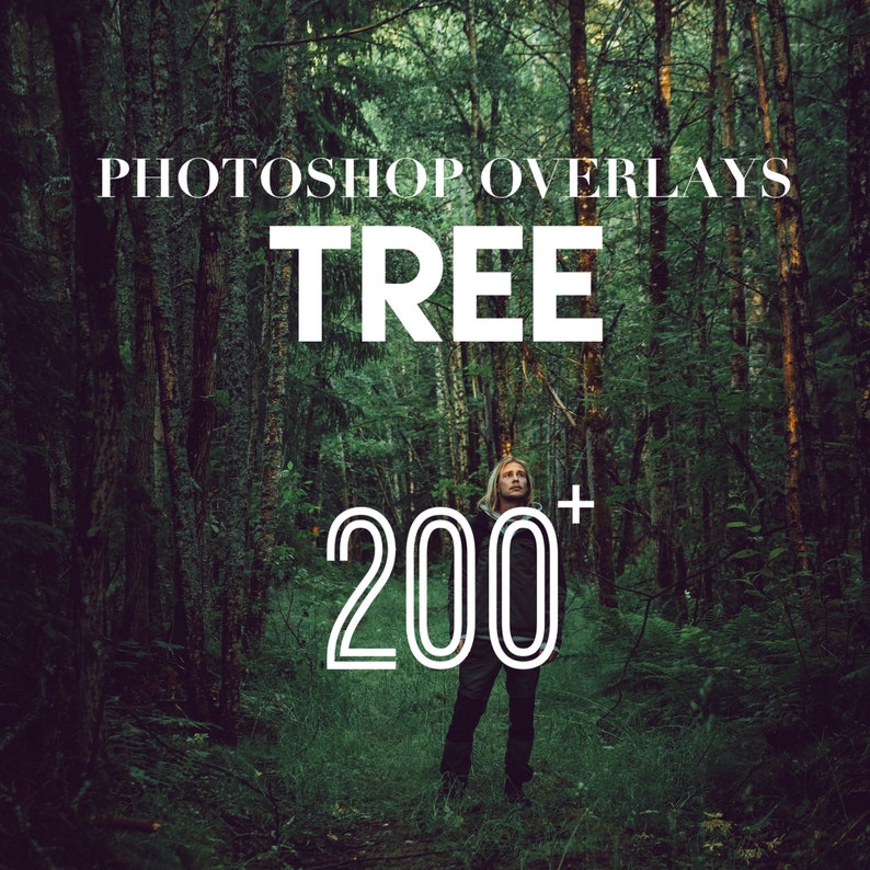 Tree Photoshop Overlays, Photo Overlays Package, Leaves Plant Branches Nature Outdoor, Realistic Texture Background Effect PNG JPG Bundle 画像 1