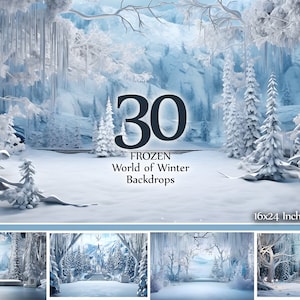 30 Frozen Winter Digital Backdrops | Snowy Wonderland Photography Backgrounds | 16x24&quot; JPEG High Resolution