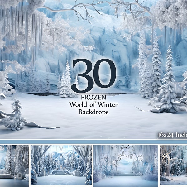 30 décors d'hiver congelés Hiver glacial, fantaisie hivernale, fond bleu hiver, toile de fond neige, papier flocons de neige, congelé