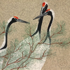 Op de afbeelding: Drie witte kranen met zwarte nek en rode kronen staan in een dennenboom met groene naalden. De kranen kijken in verschillende richtingen. De achtergrond is lichtbruin met een draaiend patroon.