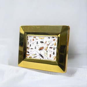 May include: A gold-colored picture frame with a glass front and a white mat. The frame contains a vintage illustration of various insects with the text "INSECTS  WOOD  BIDS".