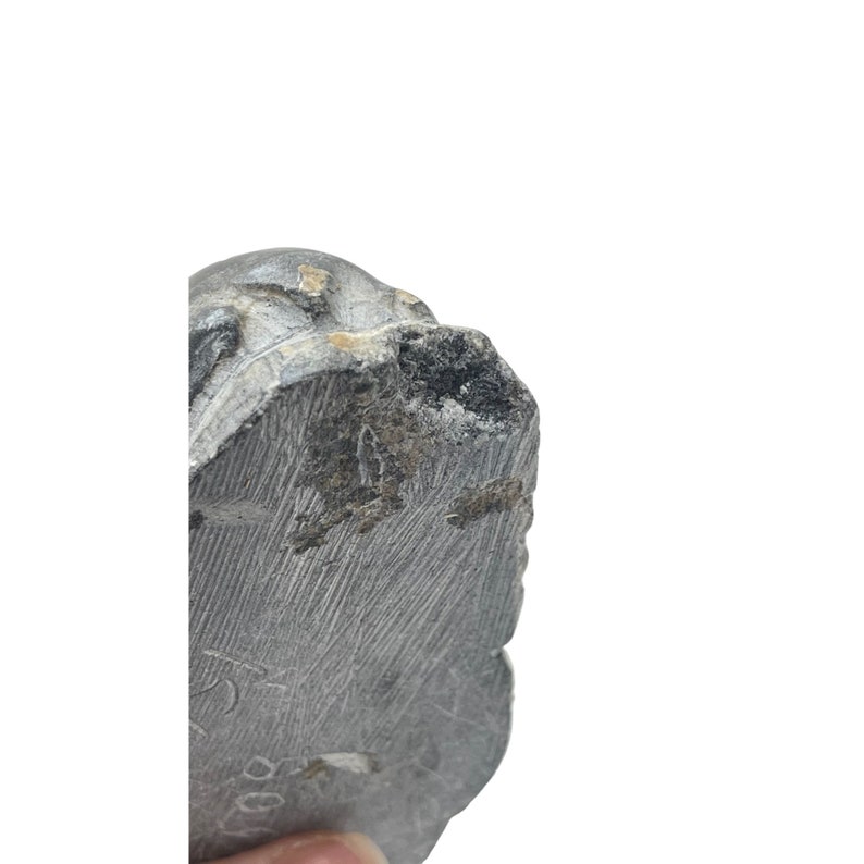 May include: Close-up of a gray stone sculpture of a person's head. The sculpture is carved with details and has a rough texture. The bottom of the sculpture is signed with the number "99".