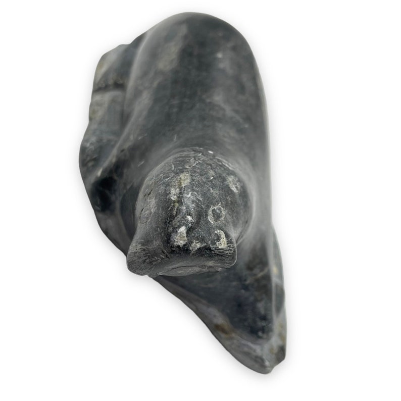 May include: A black stone carving of a seal, the seal is facing forward with its head tilted down. The carving is detailed and shows the seal's fur and whiskers.