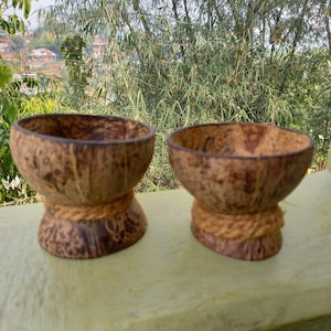Set di 2 fioriere in guscio di cocco fatte a mano / ecologiche / vasi / fioriere da interno / decorazioni per la casa / sostenibili